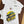 Camiseta Willblanch Ayrton Senna