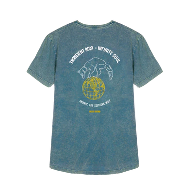 Camiseta Arica Malvinas